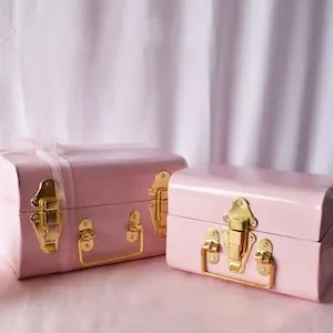 Pink Metal Trunk
